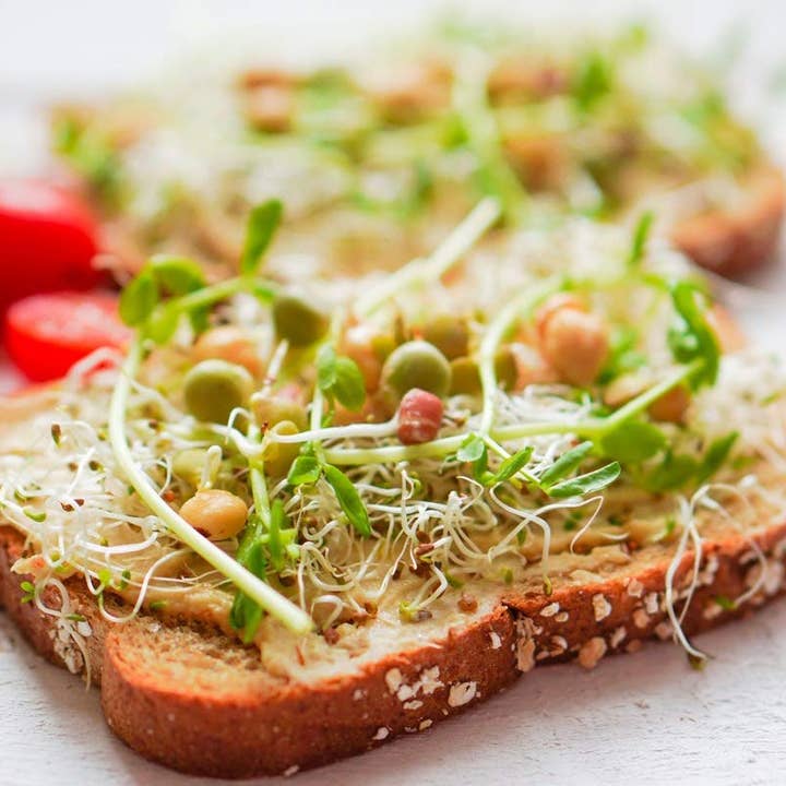 Food To Live - Wholesale Seeds/kernels - Organic Spicy Mix of Sprouting Seeds — Rich Germination Rate3