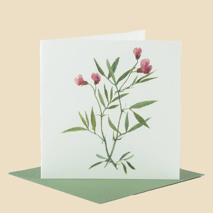 Sophia Davenport - Wholesale Everyday Greeting Card - Wildflower Greeting Cards and Notelets12