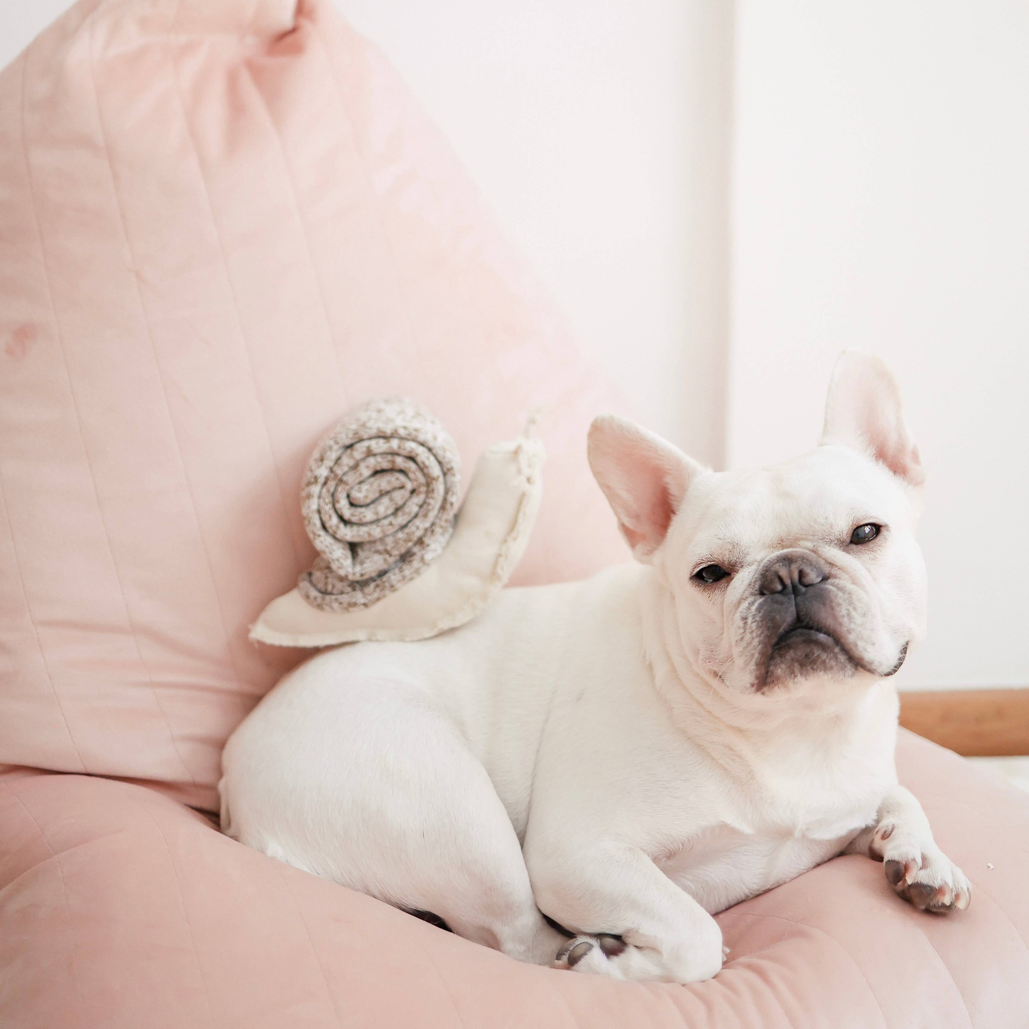 Lambwolf Collective - Wholesale Pet Toy - Dog - SNAIL//ENRICHMENT DOG TOY3