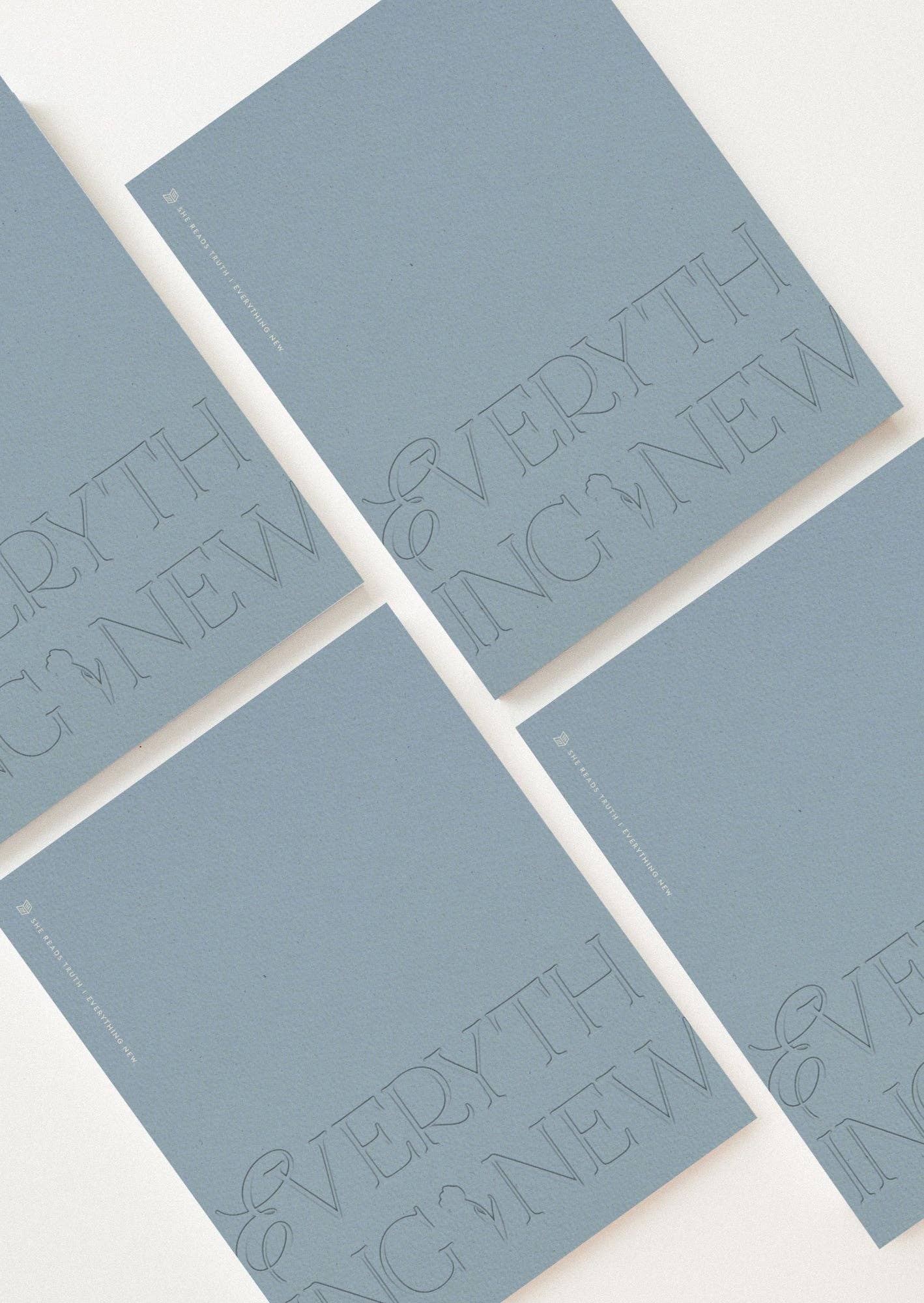 She Reads Truth - Wholesale Religion Book - Everything New Women's Reading Guide5