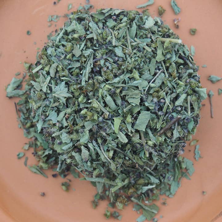 Tulsi ( Holy Basil ) for wholesale by Wild Few Herb Farm