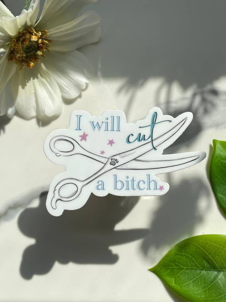 Ik zal een B* tch-sticker knippen voor wholesale door A Dresser Drawer