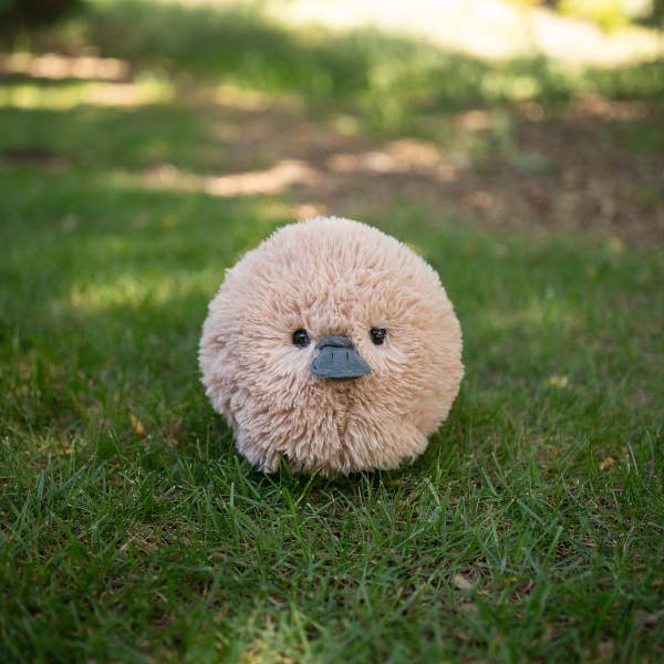 Beverly Hills Teddy Bear Company - Wholesale Stuffed/plush toy – Kids & baby - Soft Fluff Ball Fluffees Platypus Plushie1