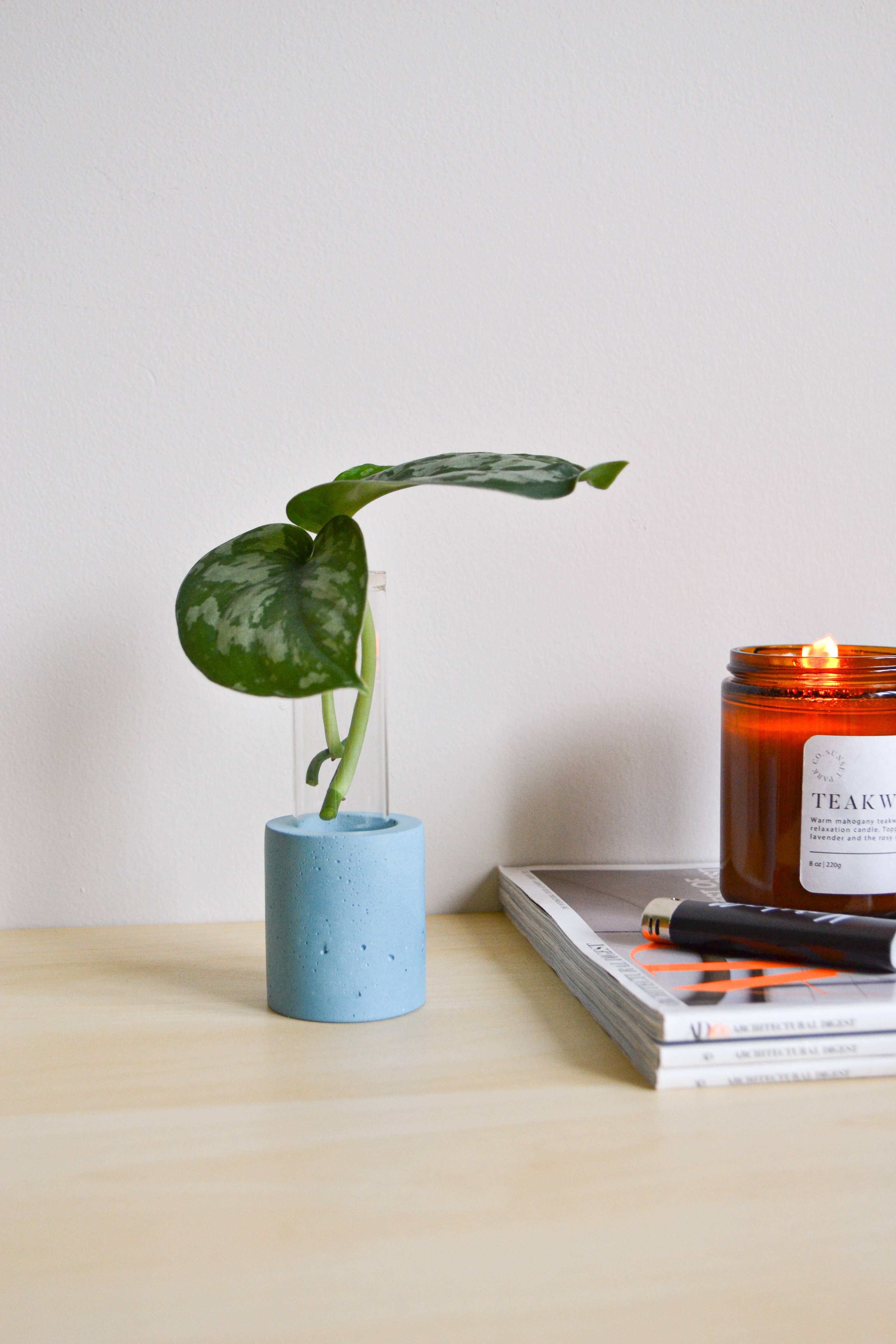 LindaMakess - Wholesale Vase - Single Concrete Plant Propagation Test tube Stand1