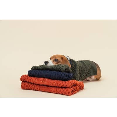 PEHOM - Wholesale Hondentrui - Hond - Vest met kraag voor huisdieren10