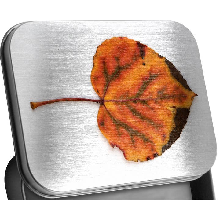 Tin, Gift Box & Treasure Keeper! Fallen Aspen Leaf, 18-1010 for wholesale by Reflections of The Winds