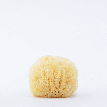 Naturlig ansigtssvamp for engroshandel hos The Refill Shoppe