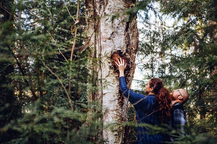 Black Magic Alchemy - Vendita all'ingrosso Tinture - Wildcrafted Chaga Ancient Rootbeer Elixir | 16,9 once (30 giorni)1