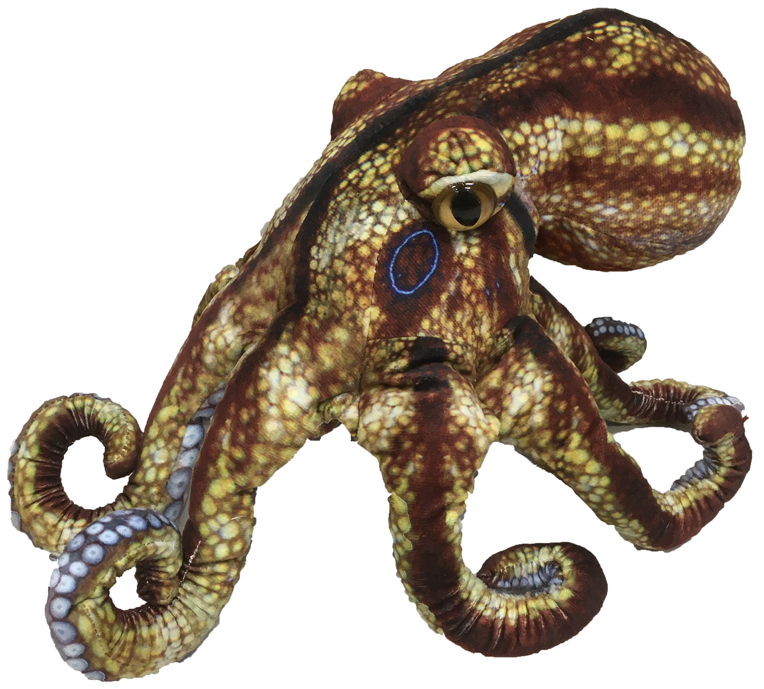 Texas Toy Distribution - Vendita all'ingrosso Peluche - Bambini e neonati - Peluche Octopus Aquatic Ocean da 25,4 cm1