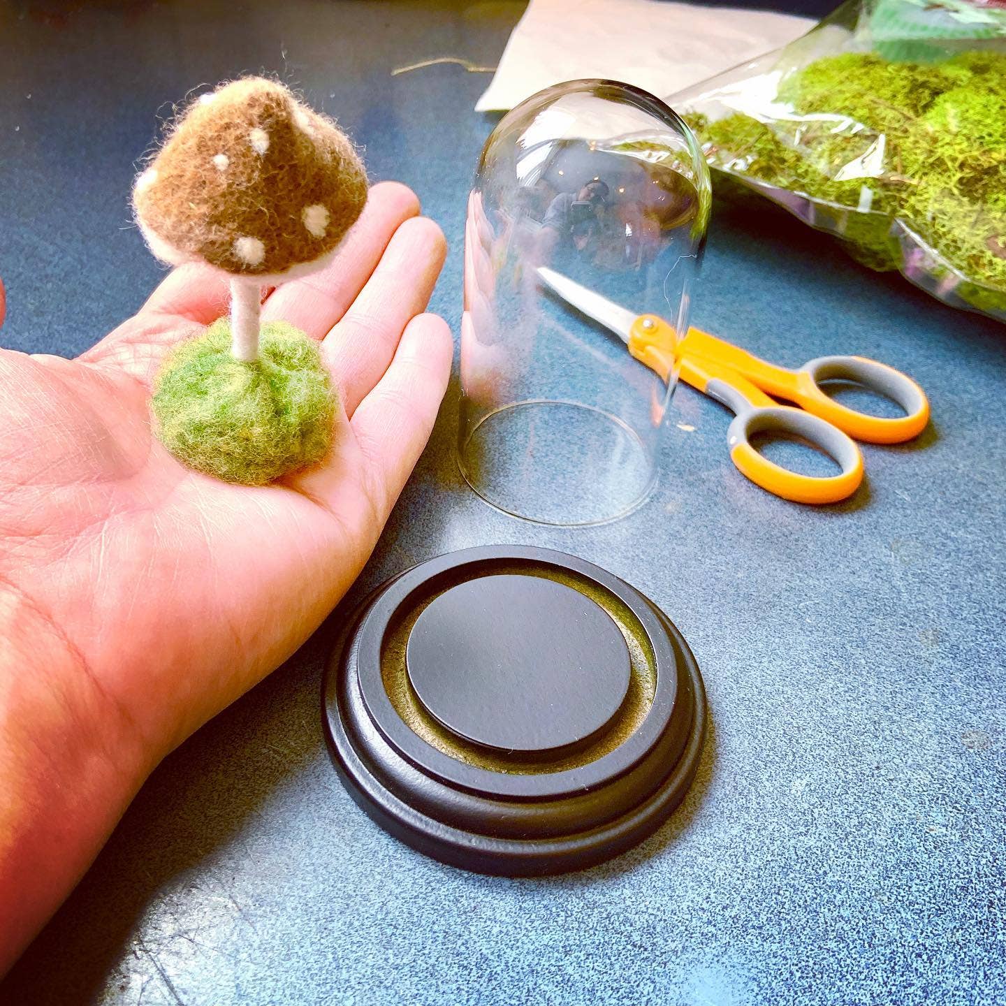 MJ and Me - Vendita all'ingrosso Decorazioni da tavolo - Cloche per terrario Forest Floor5