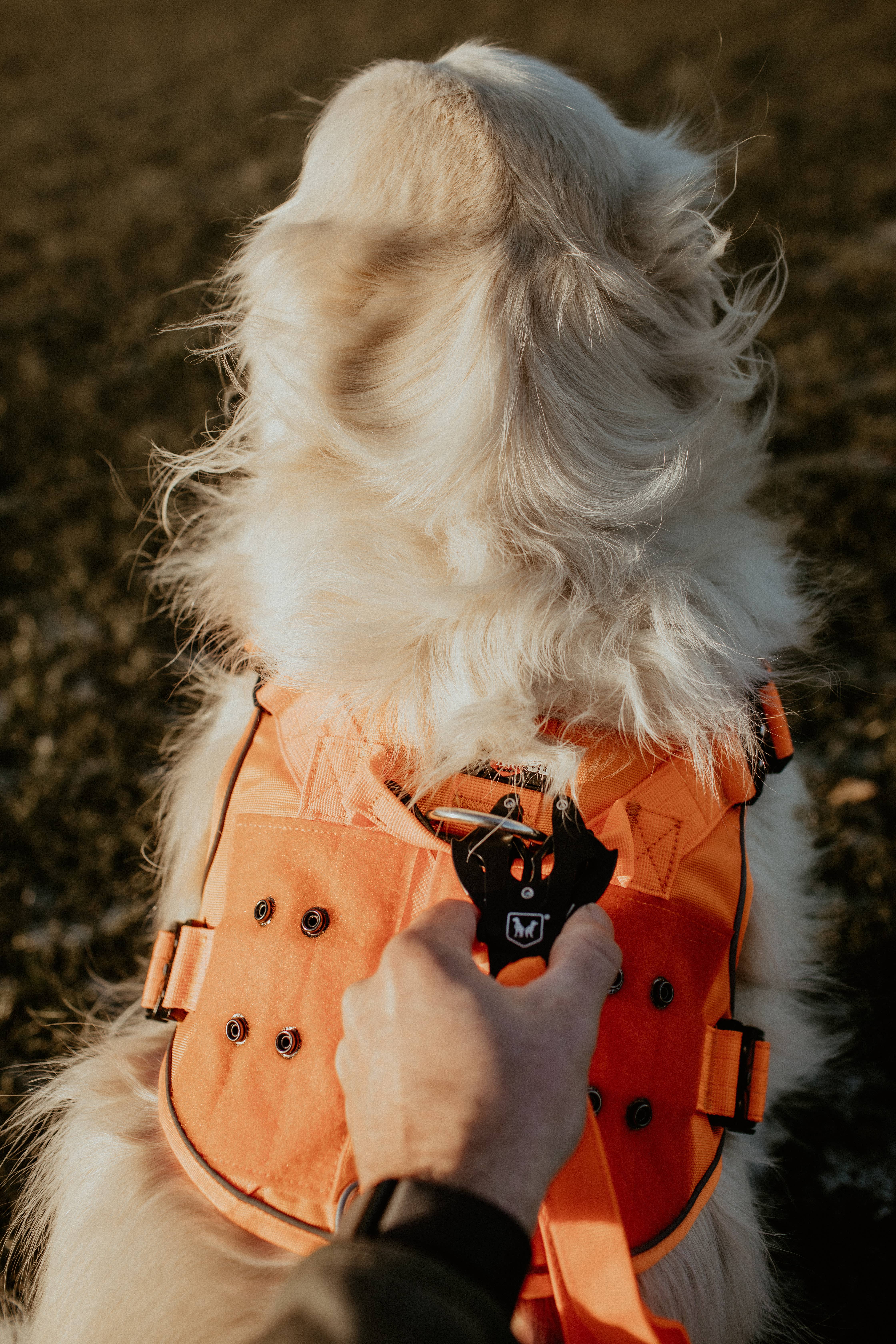 BOSS DOG BRAND, INC. - Wholesale Pet Harness - Dog - Boss Dog Harness58