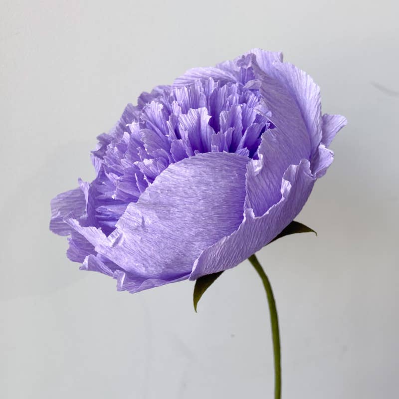 Papercraft Miracles LLC - Vente Fleurs artificielles - Fleur de pivoine charme en papier crépon (petite)5