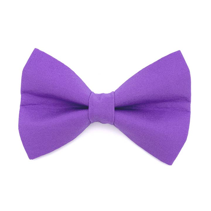 Gravata borboleta de cachorro roxo por atacado de Winthrop Clothing Co.