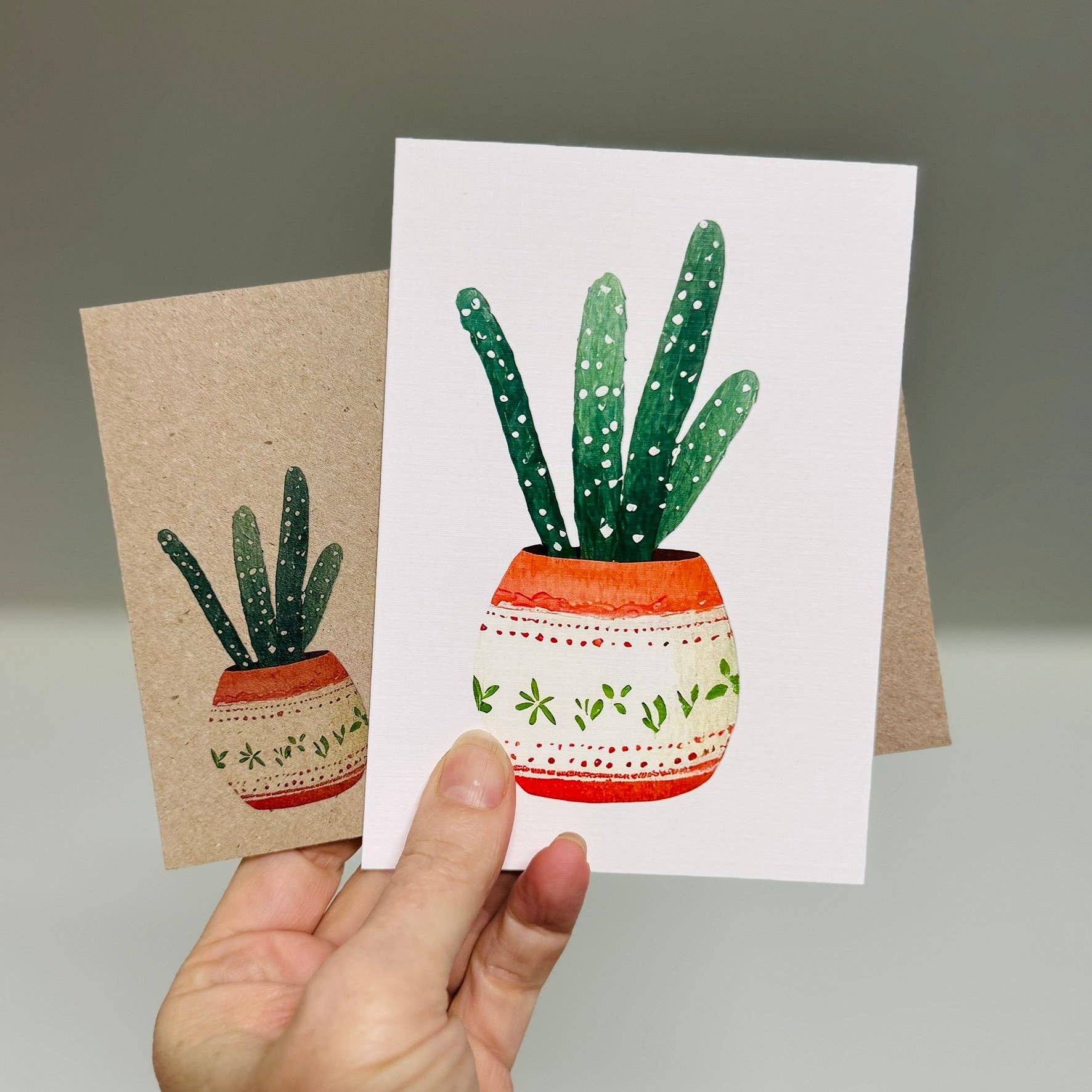 Scattered Seed Co - Wholesale Stationery/Notecard Set - SUCCULENTS whimsical greeting cards set of 41