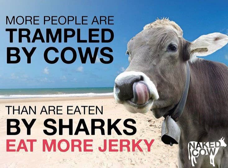 Naked Cow - Wholesale Jerky - Naked Cow Smoke Beef Jerky, 2oz5