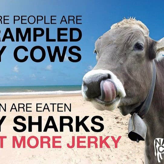 Naked Cow - Wholesale Jerky - Naked Cow Smoke Beef Jerky, 2oz5