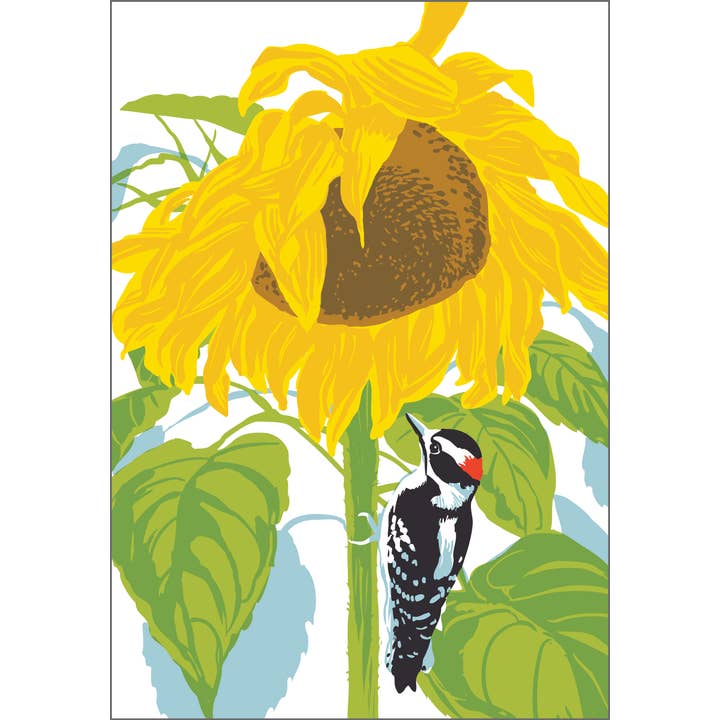 RBI-9135 Sunflowers & Downy Woodpecker Postcard: Garden Bird for wholesale by Rigel Paper