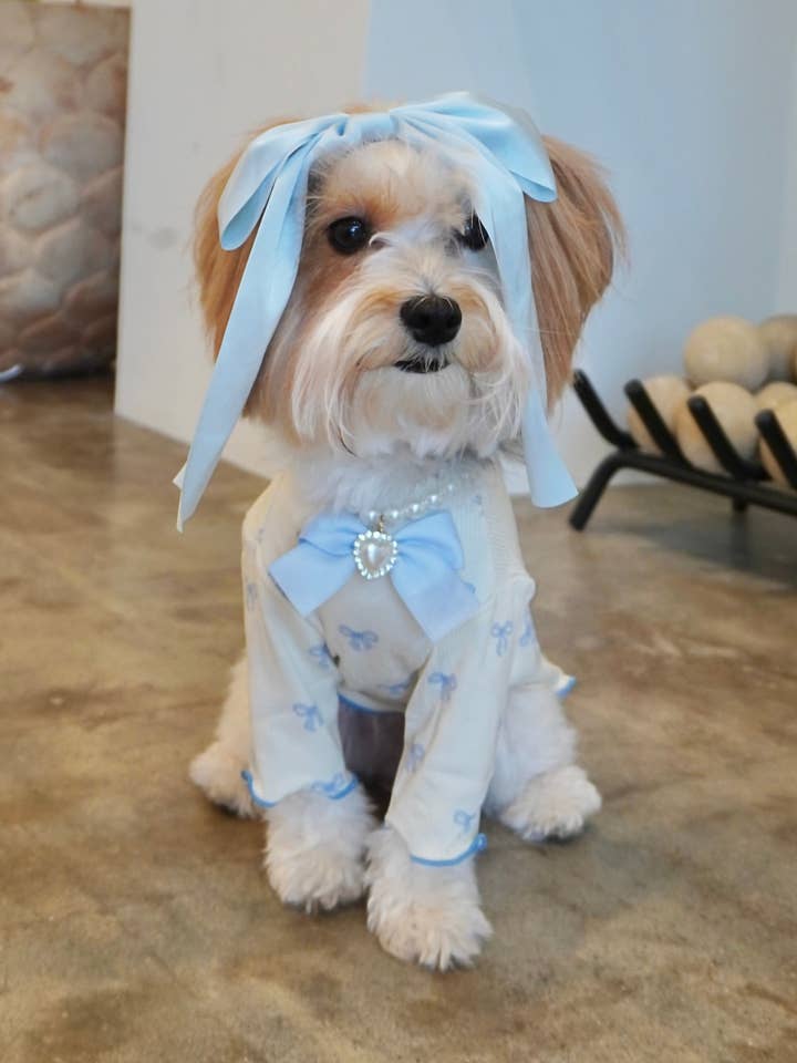 Coquette Ruffle Dog Top for wholesale by The Pawster