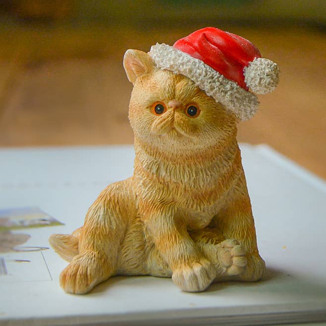 Persian Kitten Wearing Santa Hat for wholesale by Top Land Trading