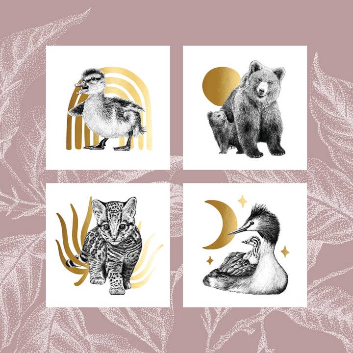 Baby animal cards for wholesale by Fine Forest