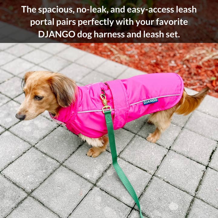 DJANGO - Wholesale Pet Raincoat - Dog - City Slicker Dog Jacket & Raincoat - Cerise Pink5