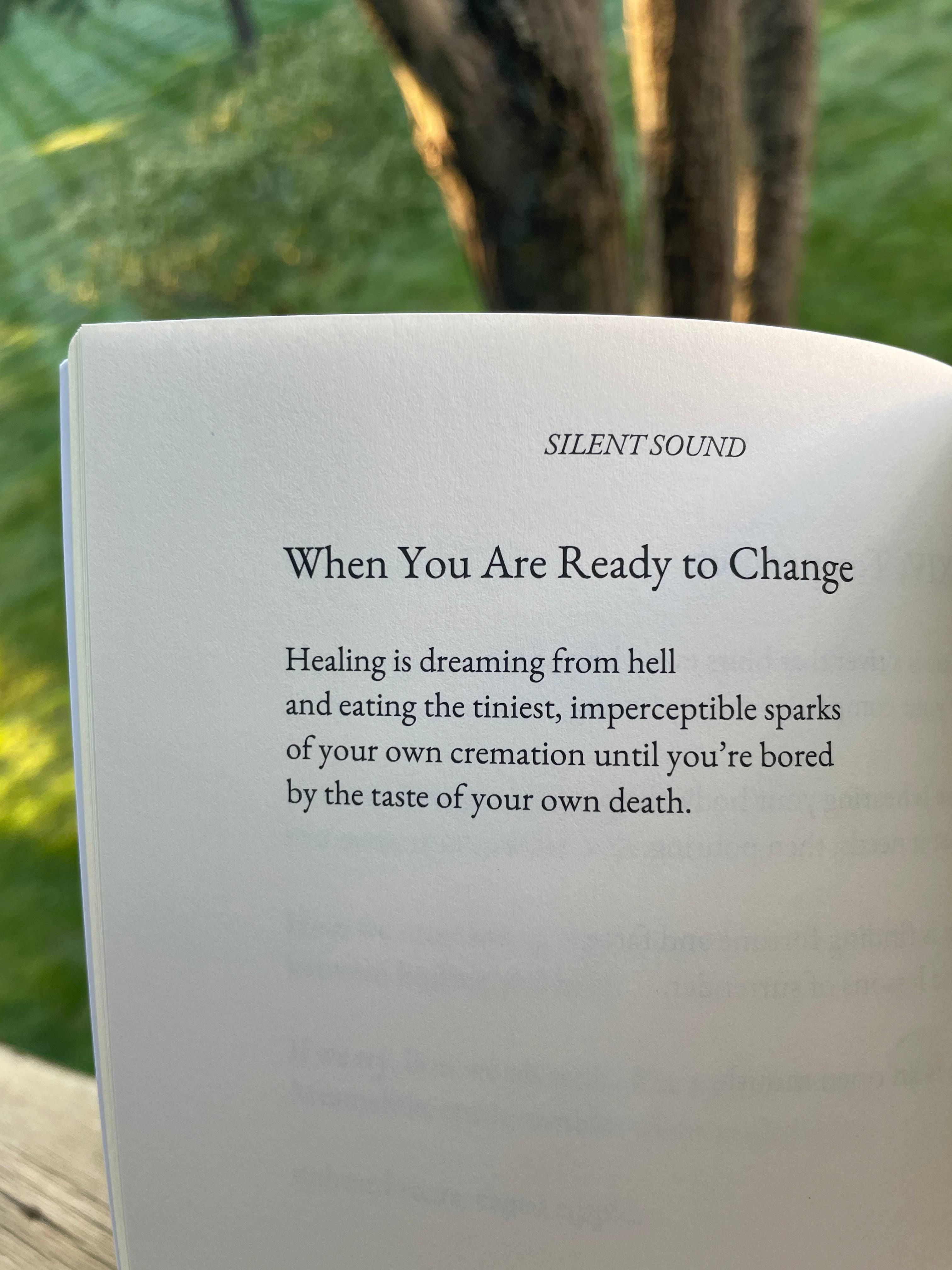 Julia Paige Lemke - Wholesale Poetry & Drama - Silent Sound: 44 Poems to Hear Your Soul3