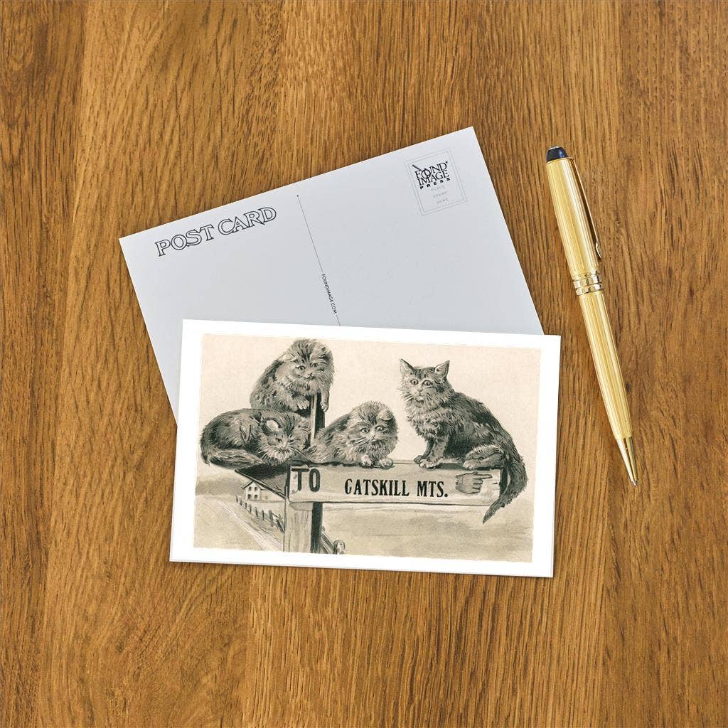 Found Image Press - Vendita all'ingrosso Cartoline - Cartolina NS-823 Gatti sul cartello dei monti Catskill1