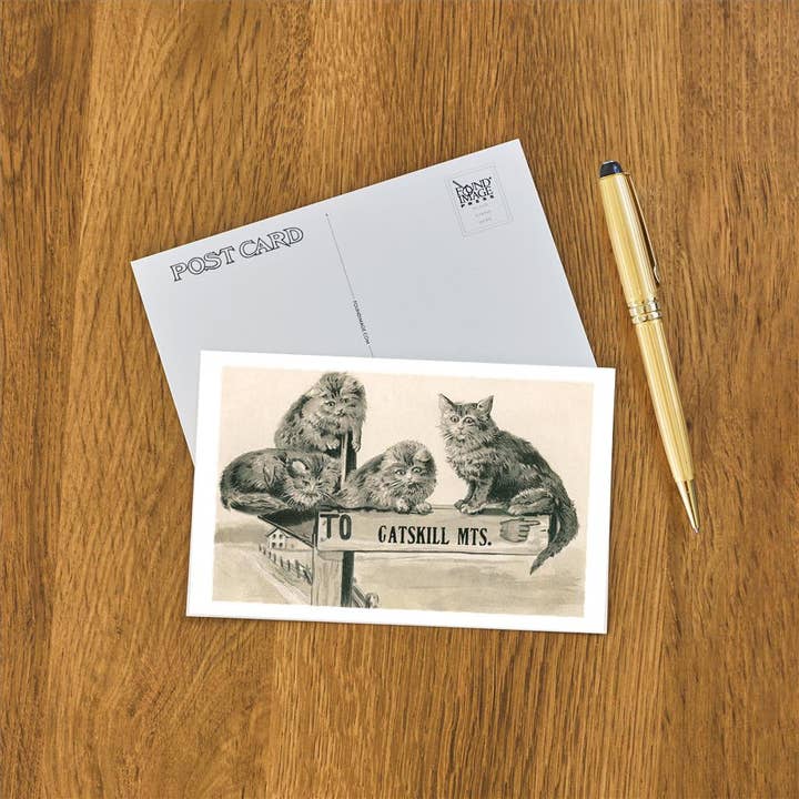 Found Image Press - Vendita all'ingrosso Cartoline - Cartolina NS-823 Gatti sul cartello dei monti Catskill1