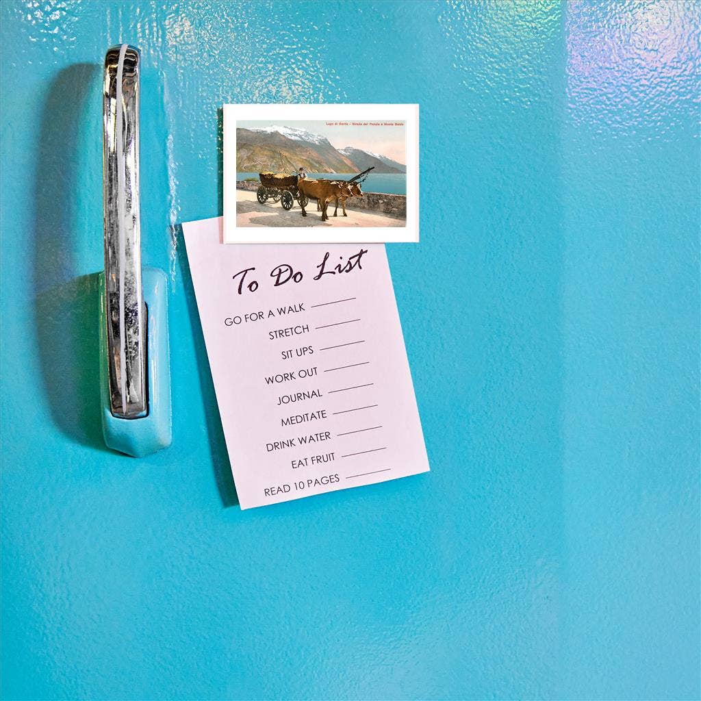 Found Image Press - Wholesale Magnet - Magnet IT-189 Ox Cart on Lago di Garda, Italy1