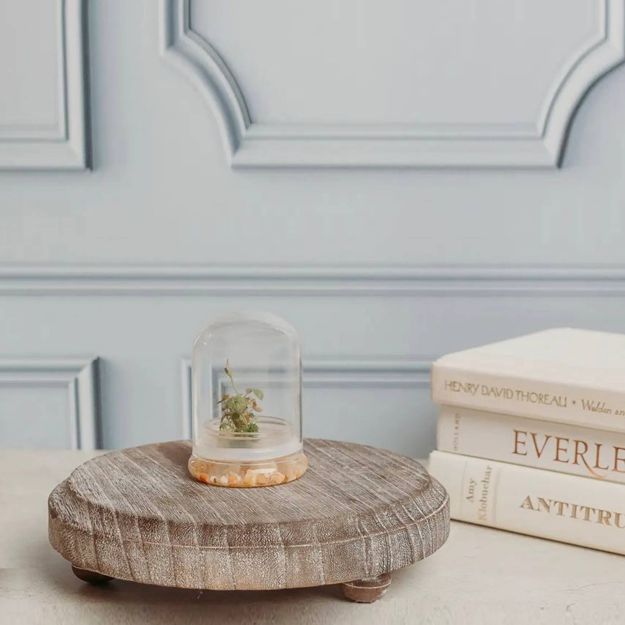 Gia Roma - Wholesale Decoratief dienblad - Ronde houten standaard en sierbord voor tafeldecoratie20