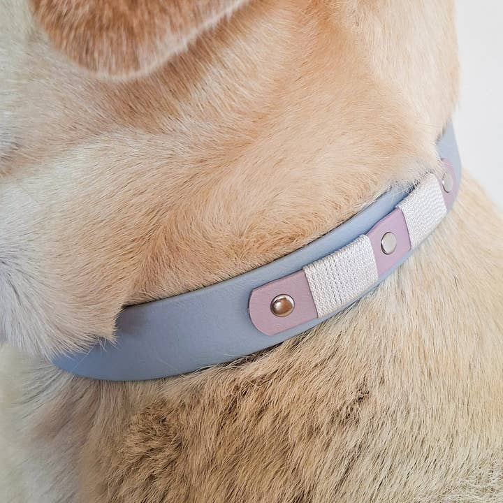 Dog Collar - Biothane Signature - Sky Blue for wholesale by Truffe & Flair