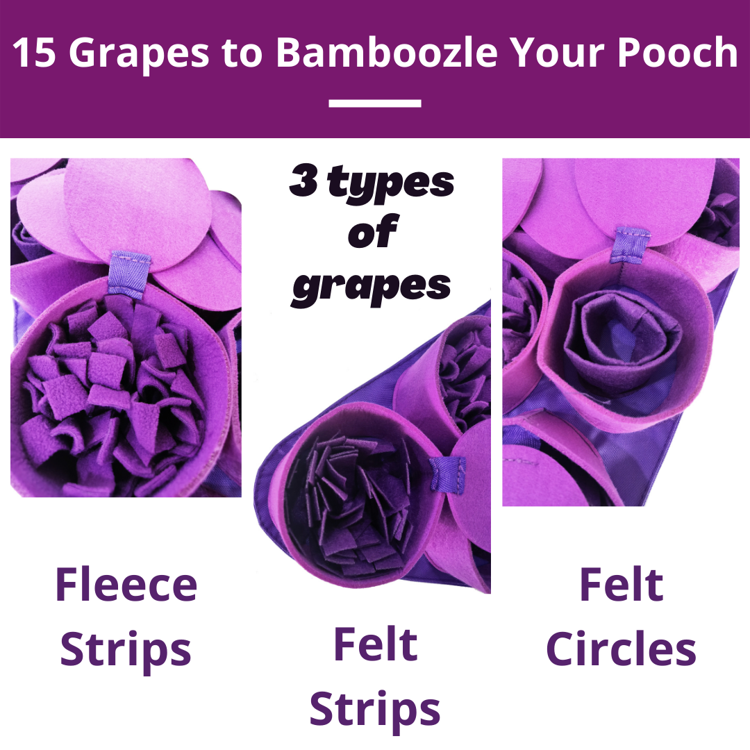 PawzNDogz - Wholesale Pet Food Mat - Dog - Forbidden Grapes ™ Snuffle Mat | Challenge Level 46