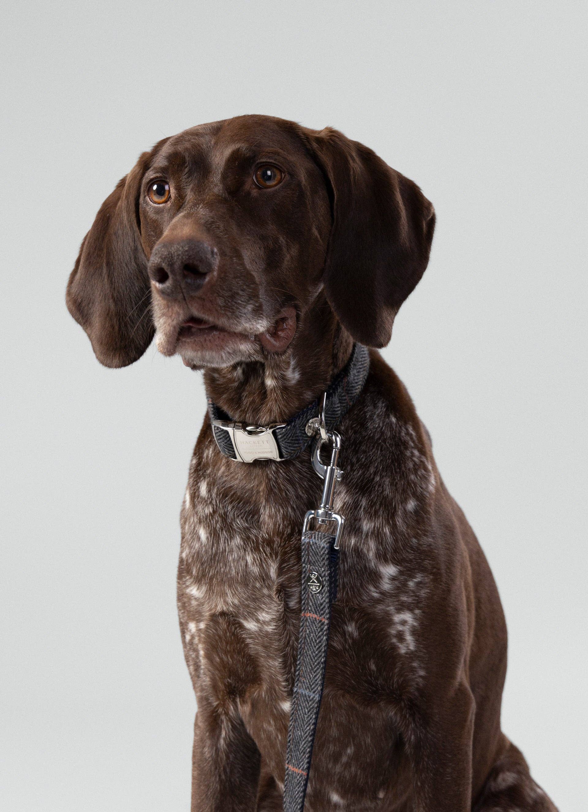 Hugo & Hudson – Großhandel Haustierhalsband – Hund – Hackett x Hugo Hudson Hundehalsband aus grauem kariertem Tweed5