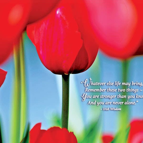 Mais forte do que você imagina por atacado de MUNDO IMAGES