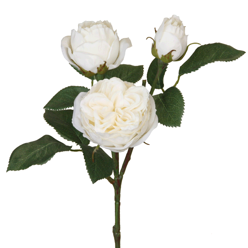 Floratexx - Wholesale Artificial Flowers - Rose English 41 cm cream x30