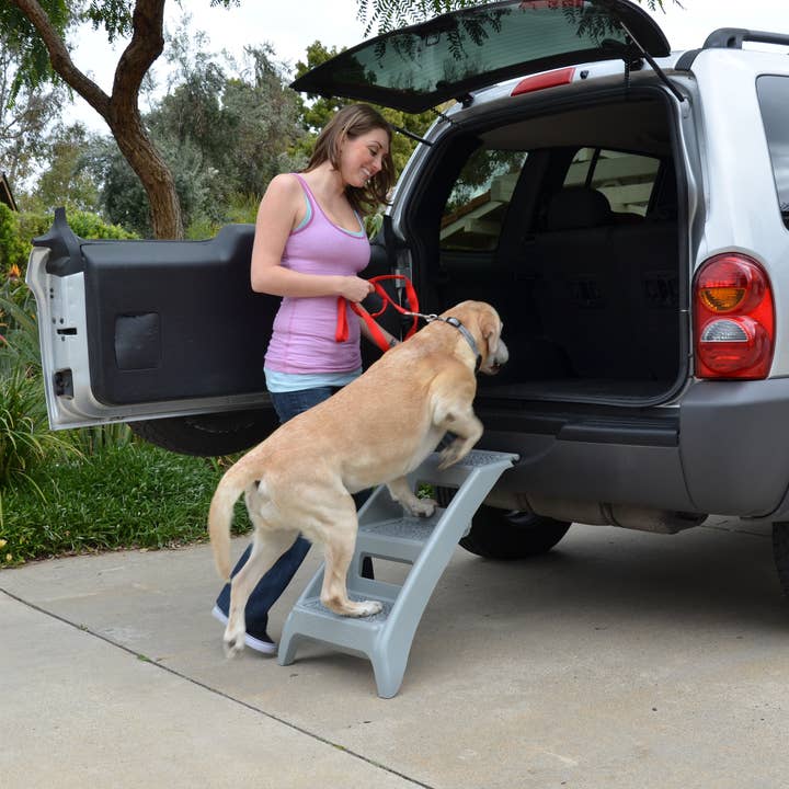 Pet Stores USA - Wholesale Pet Grooming Aid - Dog - Booster Bath Bathing and Lifestyle Steps
