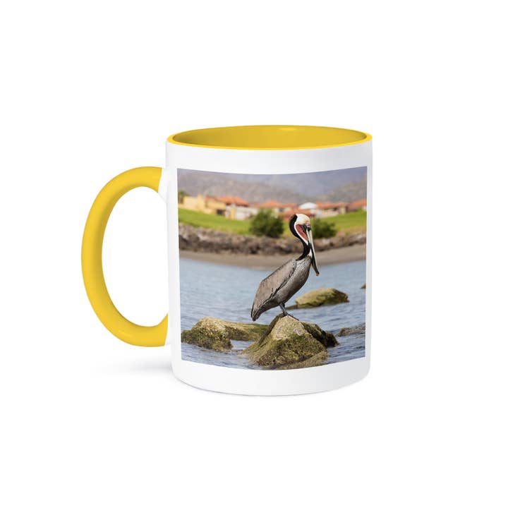 3dRose - Wholesale Coffee Mug - 3dRose, Mexico, Baja California, Loreto Bay. Brown Pelican breeding plumage., Mug