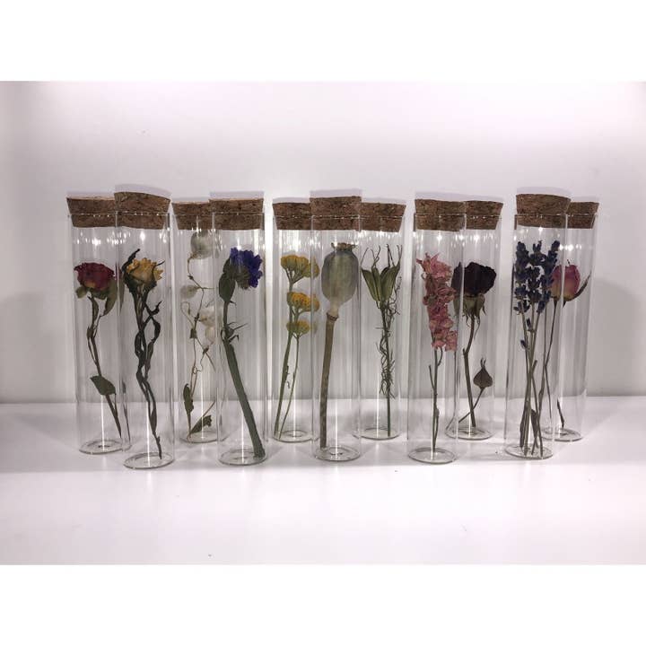 Muno - Wholesale Dried/Pressed Flowers - TUBE 10 CM WITH DRIED FLOWER - Gift3
