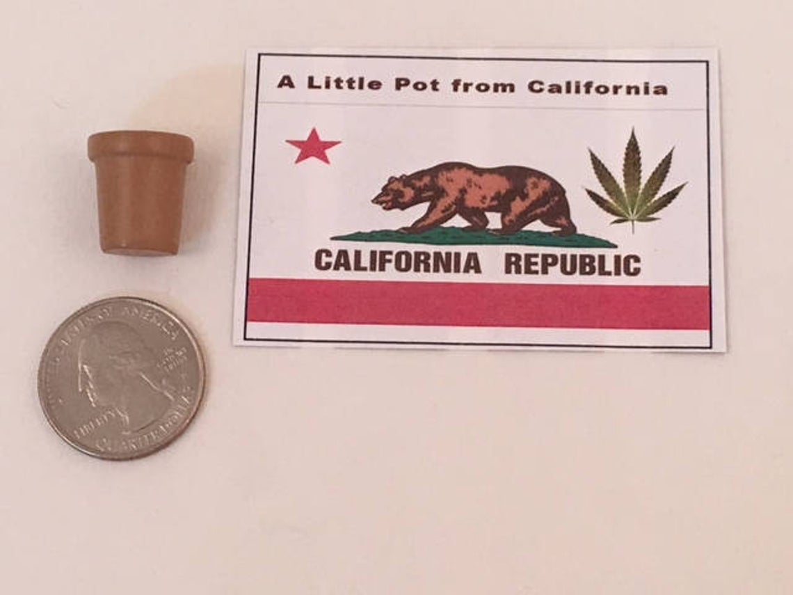 GP Originals - Wholesale Gag Gift/Novelty Gift - Little Pot from California Gag gift1