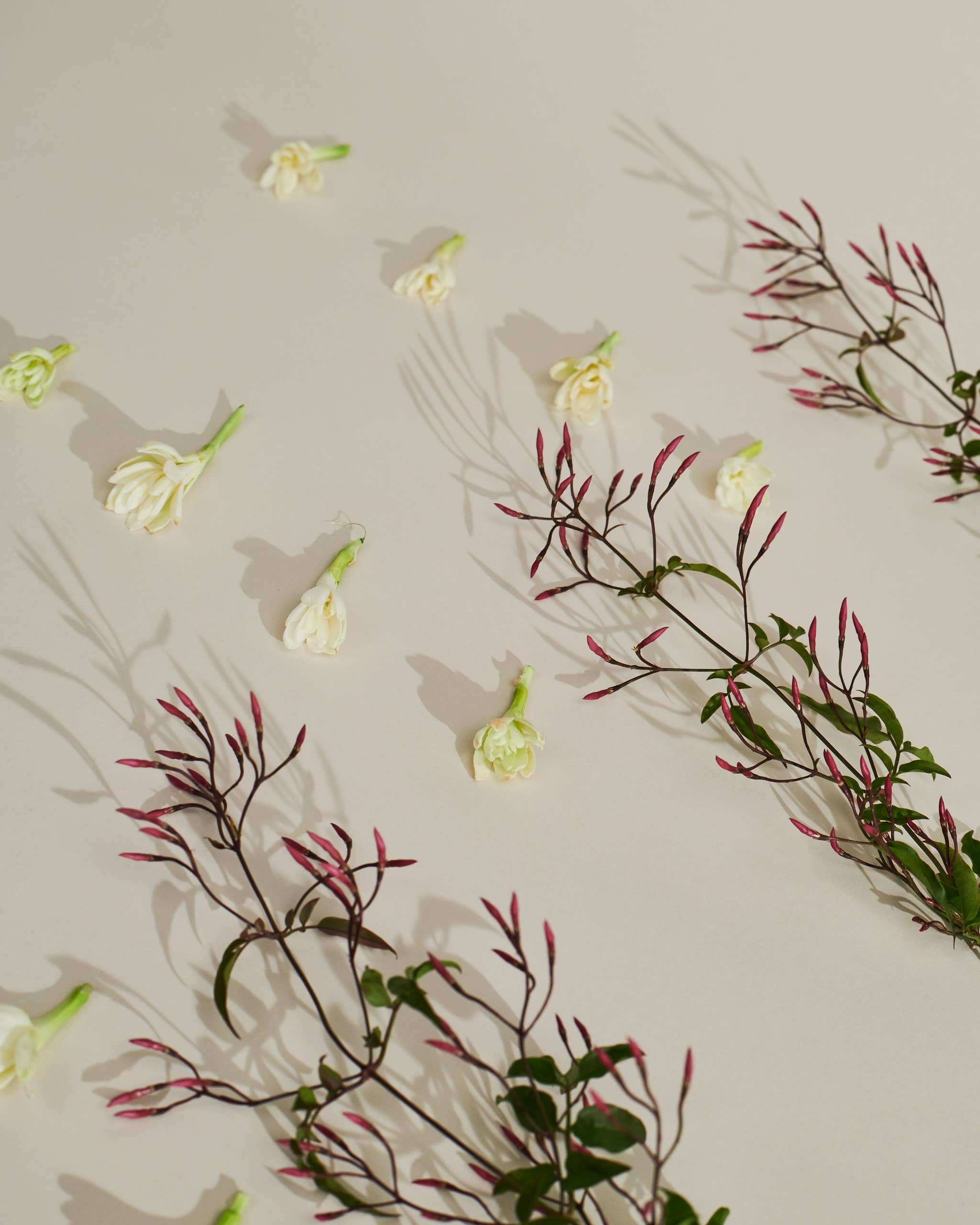 SPARITUAL - Wholesale Bath Salts - Geranium Cedarwood Mineral Rich Soak Salts - PRO Size2