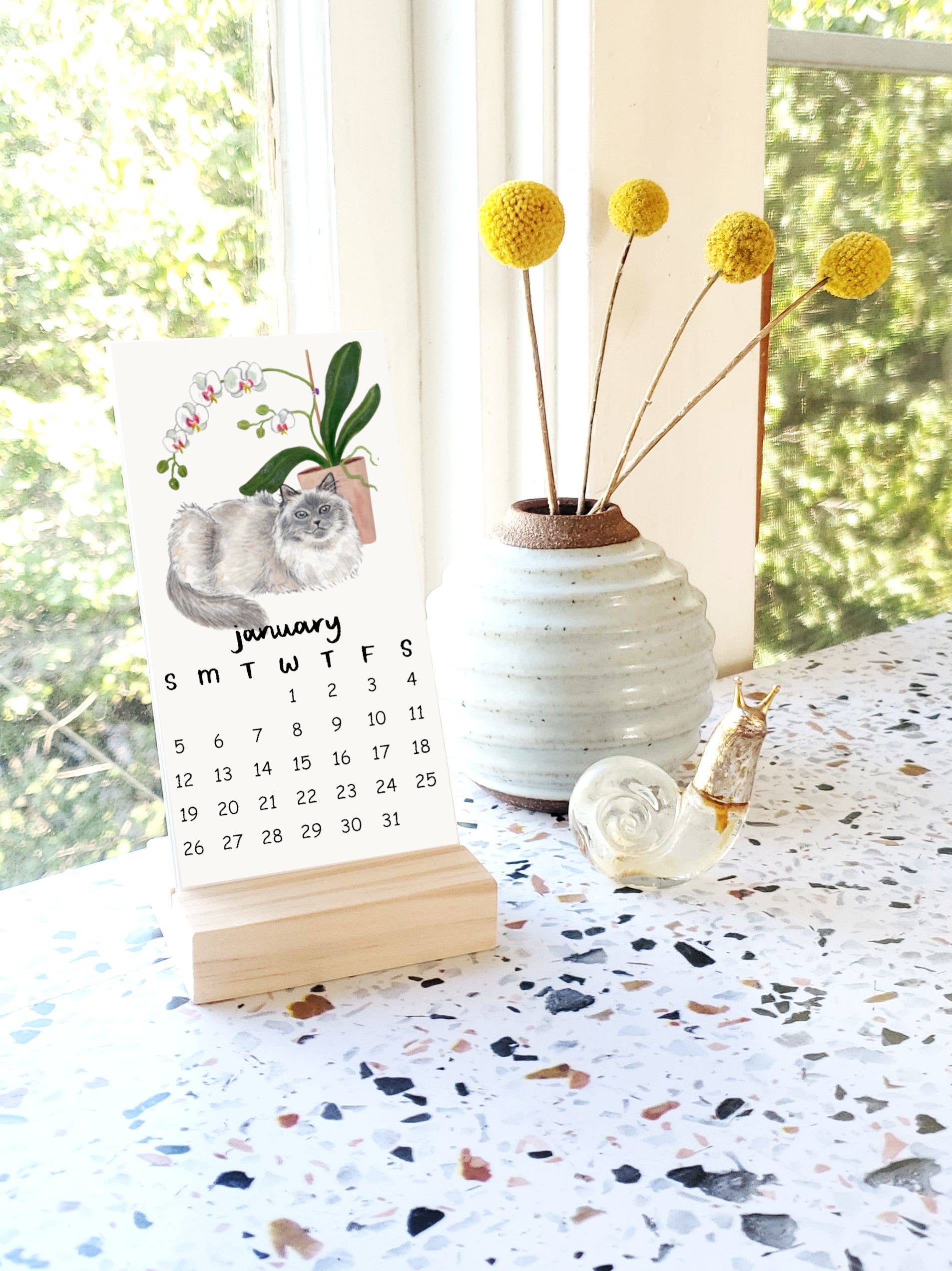 Sketchy Notions - Wholesale Calendar - 2026 Cats + Plants Desk Calendar Watercolor Illustrations1