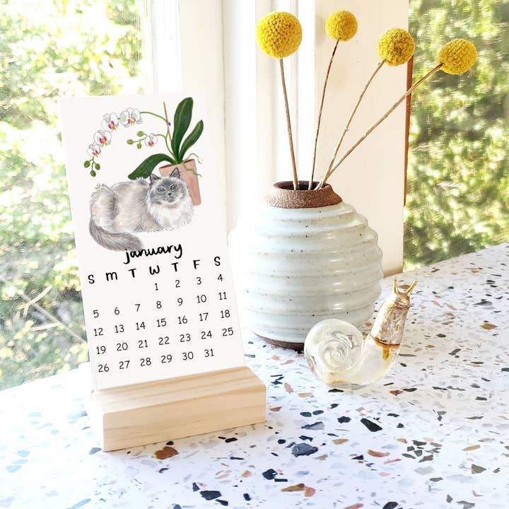 Sketchy Notions - Wholesale Calendar - 2026 Cats + Plants Desk Calendar Watercolor Illustrations1