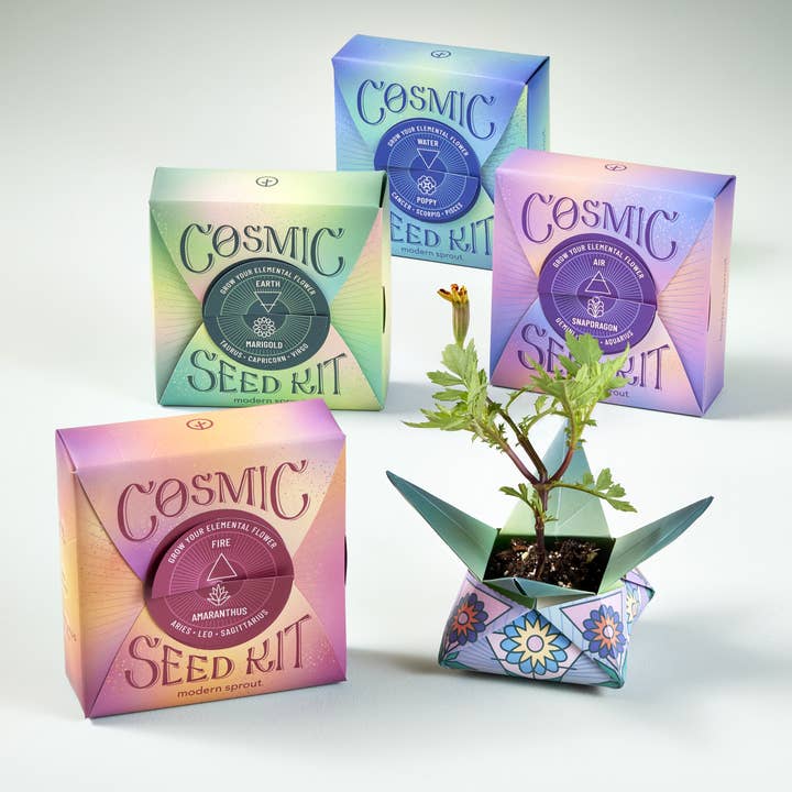 Modern Sprout - Wholesale Plant Seeds - Cosmic Seed Kit