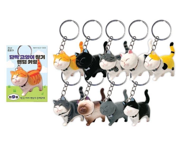 K-Wonderland - Wholesale Keychain - Unisex - Best Friend Cat Figure Collectable Keyring Random Box7