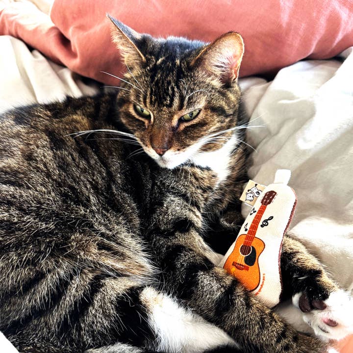 Speckle and Spot by Ore’ Originals - Wholesale Pet Toy Set - Cat - Go Kitty Go Cat Toy Set | Country Music Kitty7