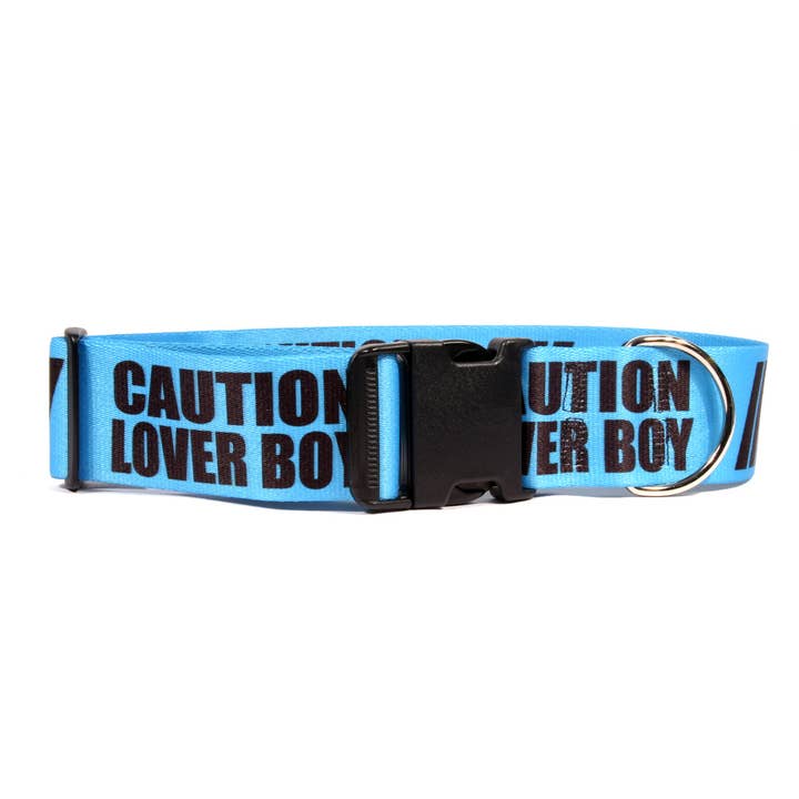 Yellow Dog Design - Wholesale Pet Collar - Dog - Blue Caution - Lover Boy Dog Collar