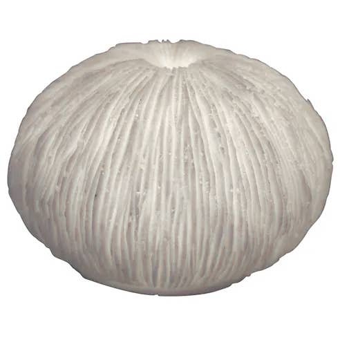 Modern Coastal by Contrast Inc. - Wholesale Accent/Desk Lamp - Sandstone Mushroom Coral Light Box2