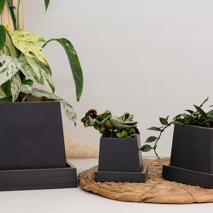 Tapered Square Pot + Saucer for wholesale by The Curated Jungle