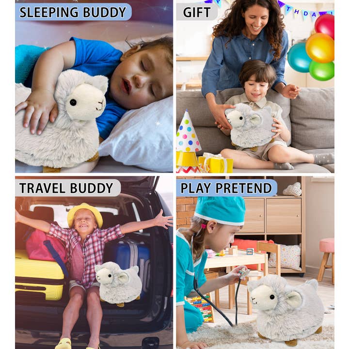 Cota Global - Wholesale Stuffed/Plush Toy - Kids & Baby - Super Soft Plush - Sheep3