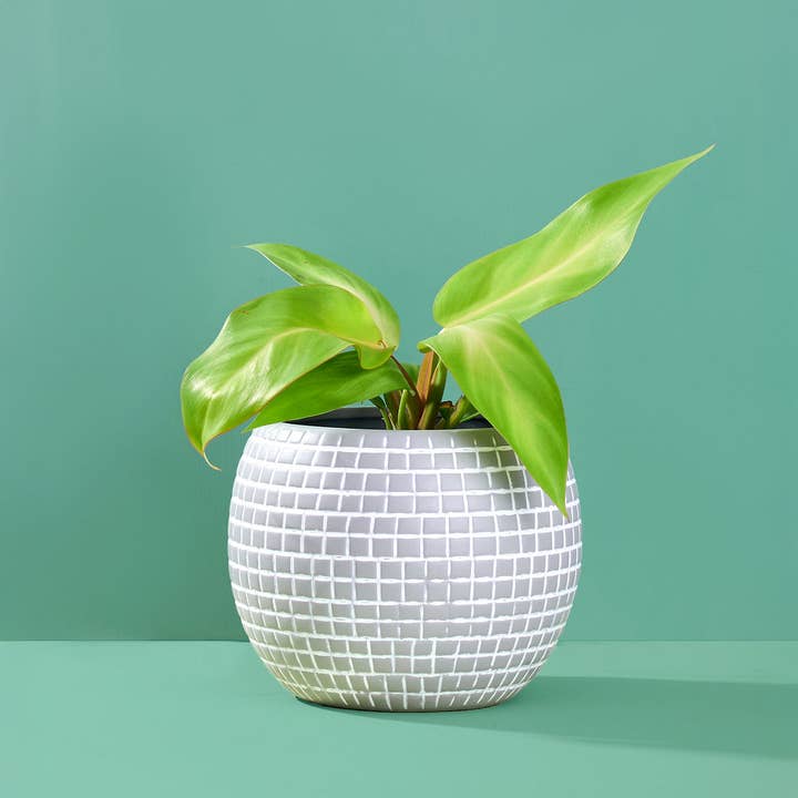 Large Disco Ball Ceramic Planter - Silver for wholesale by Paloverde Botanicals